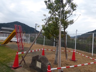 P1100331.jpg