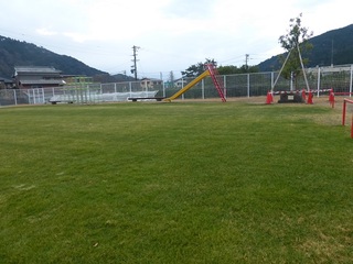 P1100333.jpg