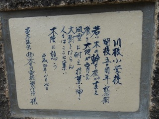 P1100332.jpg