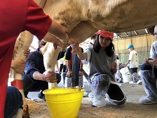 IMG_3415.jpg