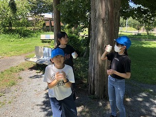 IMG_3465.jpg