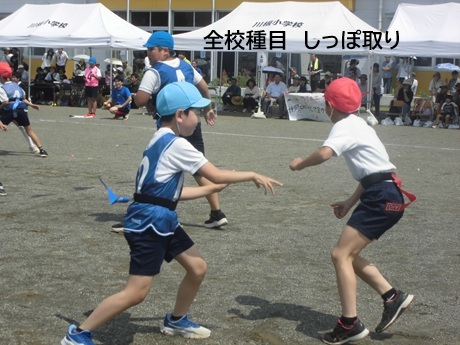 16.jpg