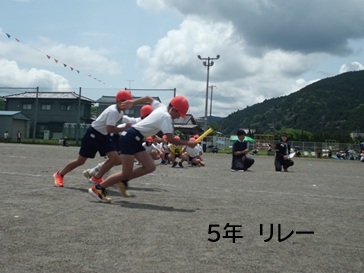 28.jpg