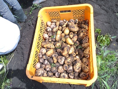 NORMAL00140.jpg